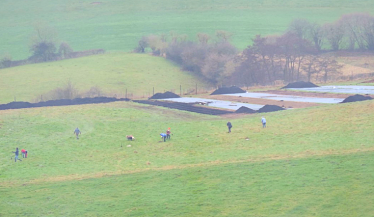 Weston Spring Farm